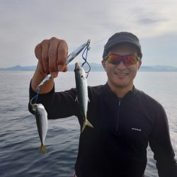 アマテラス 釣果