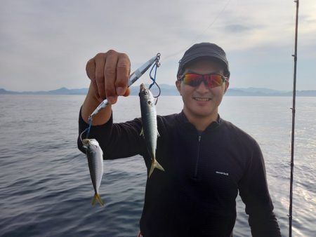 アマテラス 釣果