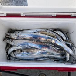 遊漁船高橋 釣果