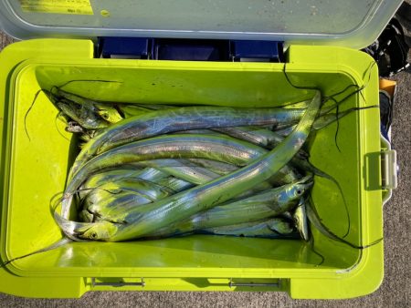 遊漁船高橋 釣果