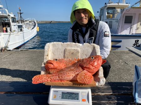 晃山丸 釣果