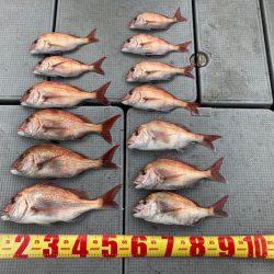 遊漁船高橋 釣果