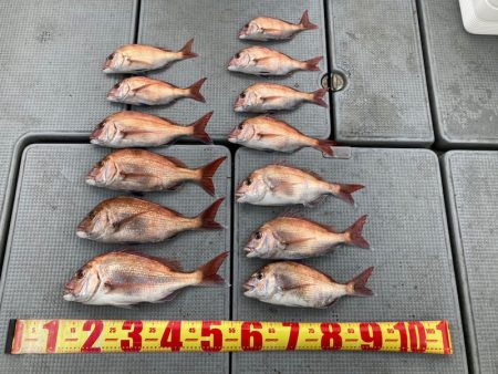 遊漁船高橋 釣果