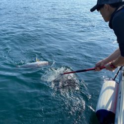 龍神丸(鹿児島) 釣果