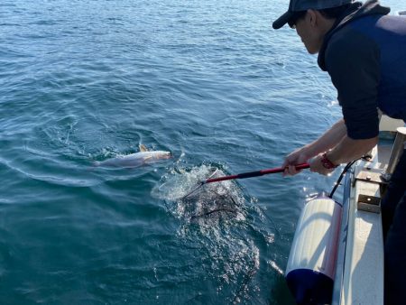 龍神丸(鹿児島) 釣果