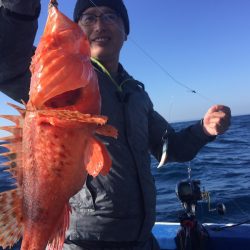 敷嶋丸 釣果