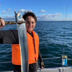 Chase（チェイス） 釣果