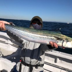 ランスルー 釣果