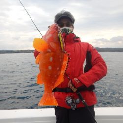 きずなまりん 釣果