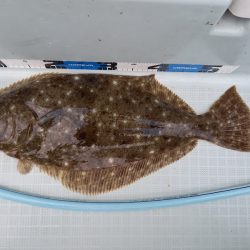 アマテラス 釣果