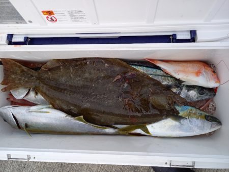 第二龍勢丸 釣果