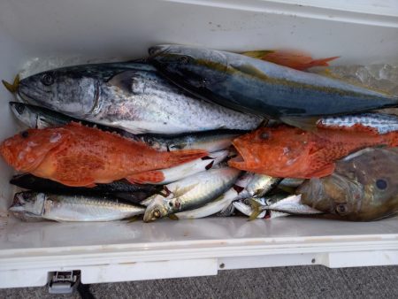 第二龍勢丸 釣果