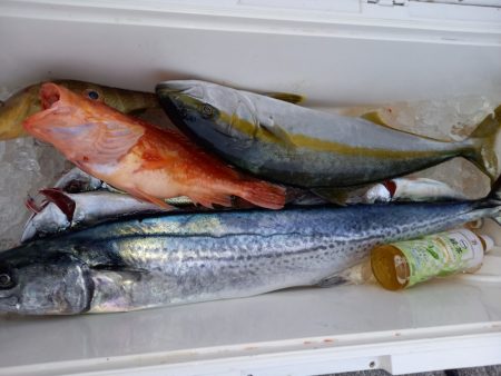 第二龍勢丸 釣果