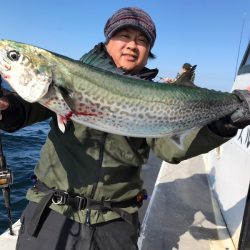 ランスルー 釣果