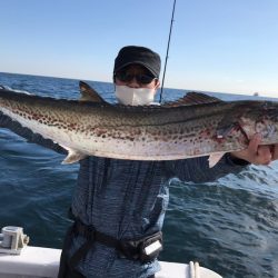 ランスルー 釣果