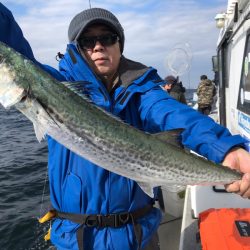 ランスルー 釣果