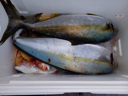 第二龍勢丸 釣果