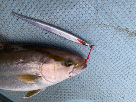 Monster Rush! 釣果