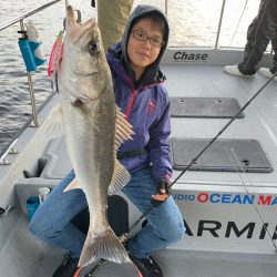 Chase（チェイス） 釣果