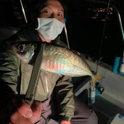 Chase（チェイス） 釣果