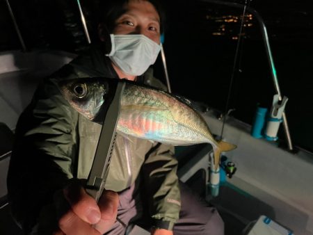 Chase（チェイス） 釣果