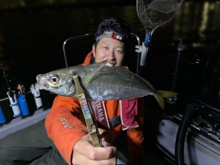 Chase（チェイス） 釣果