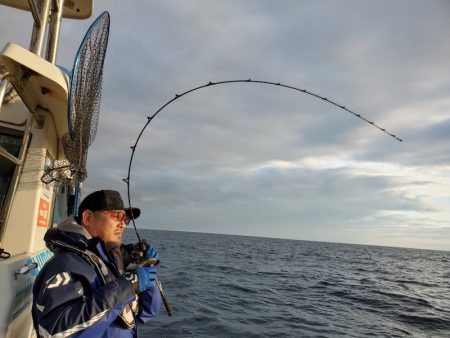 シーライオン 釣果