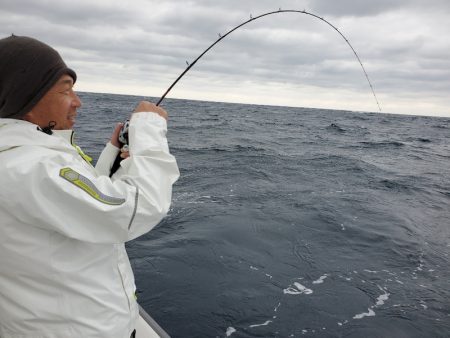 シーライオン 釣果