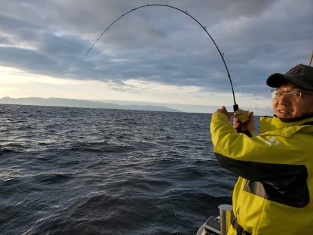 シーライオン 釣果