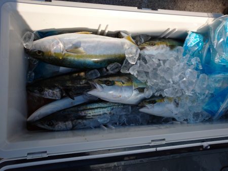 ありもと丸 釣果