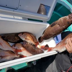 富士丸 釣果