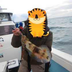 きずなまりん 釣果