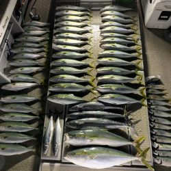 SeaRide(シーライド) 釣果