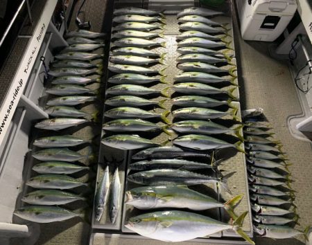 SeaRide(シーライド) 釣果