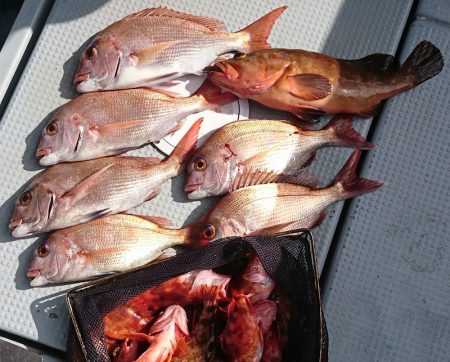 遊漁船 家入 釣果