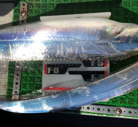 フィッシング　キッタカ 釣果