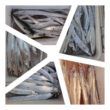 海皇丸 釣果
