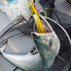 サンマリン 釣果