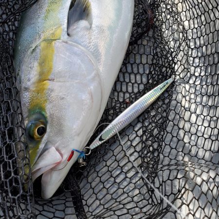 サンマリン 釣果