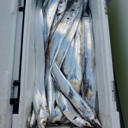 サンマリン 釣果