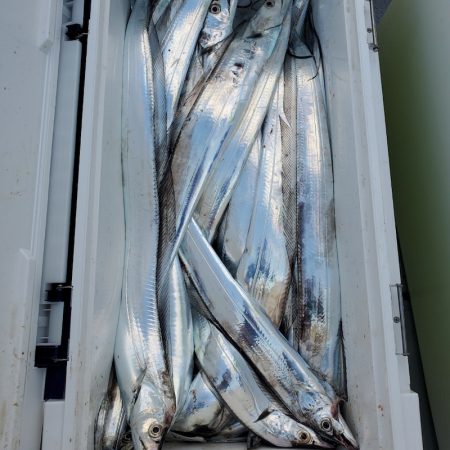 サンマリン 釣果