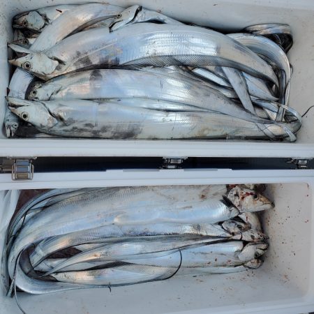 サンマリン 釣果