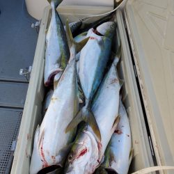 サンマリン 釣果