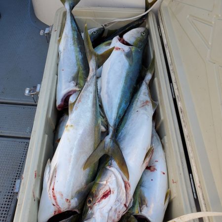 サンマリン 釣果