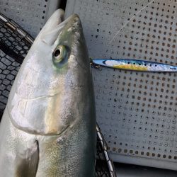 サンマリン 釣果