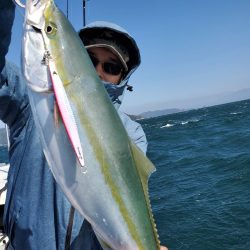 サンマリン 釣果