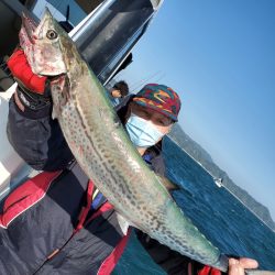 サンマリン 釣果