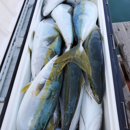 サンマリン 釣果