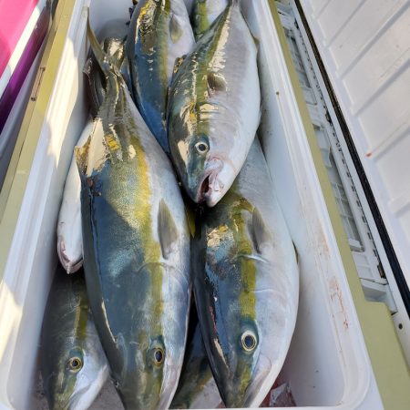 サンマリン 釣果