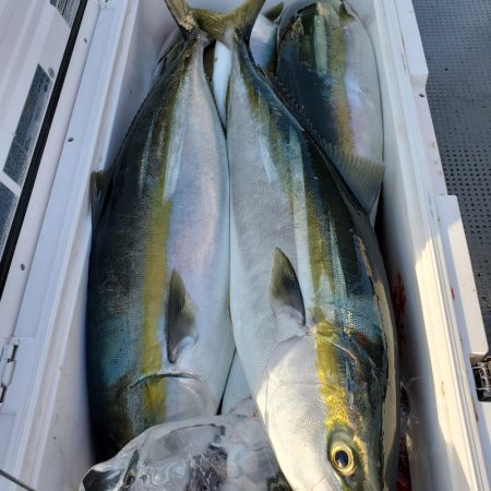 サンマリン 釣果